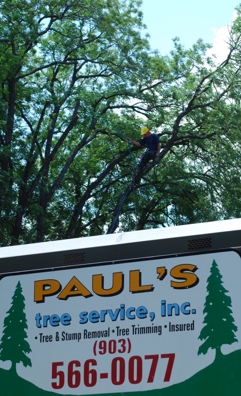 Paul's Tree Service, Inc. Paul's Tree Service. inc.